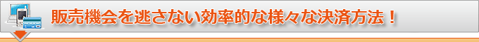 販売機会を逃さない効率的な様々な決済方法！